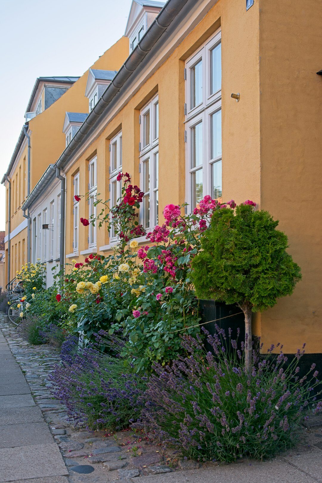 elderly person in danish village